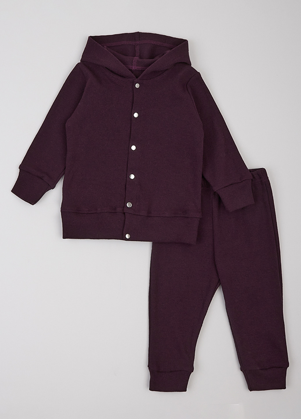 Спортивний костюм (толстовка, штани) Фламинго (314603340)