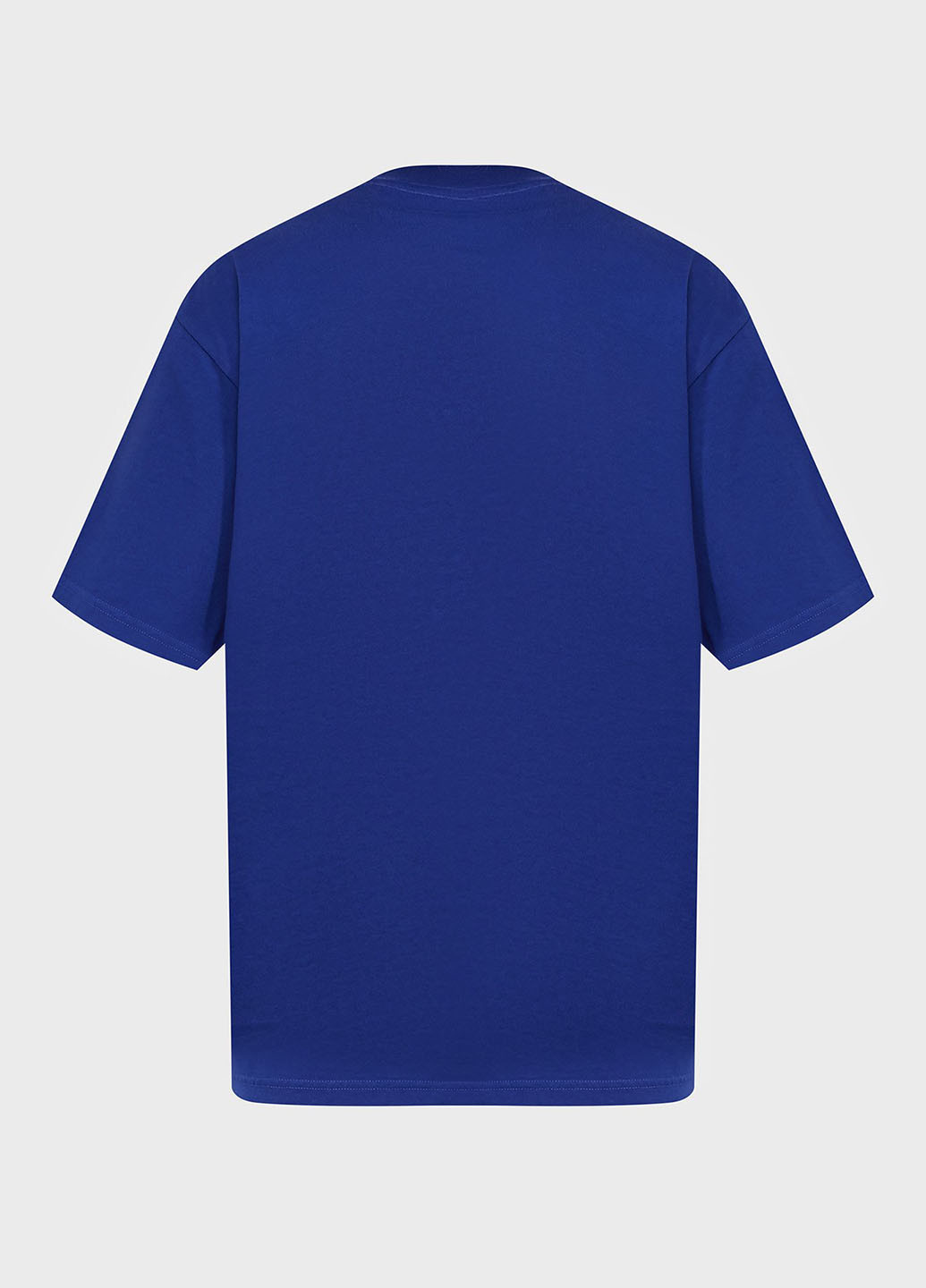 Синяя футболка Replay