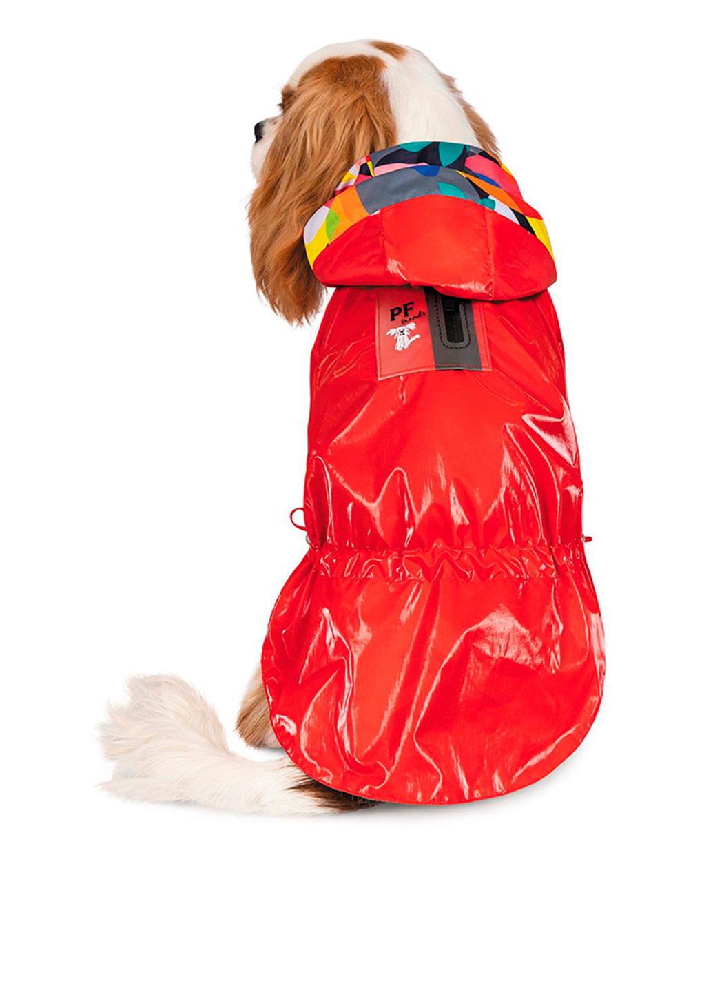 Вітрівка, XS Pet Fashion (251149947)