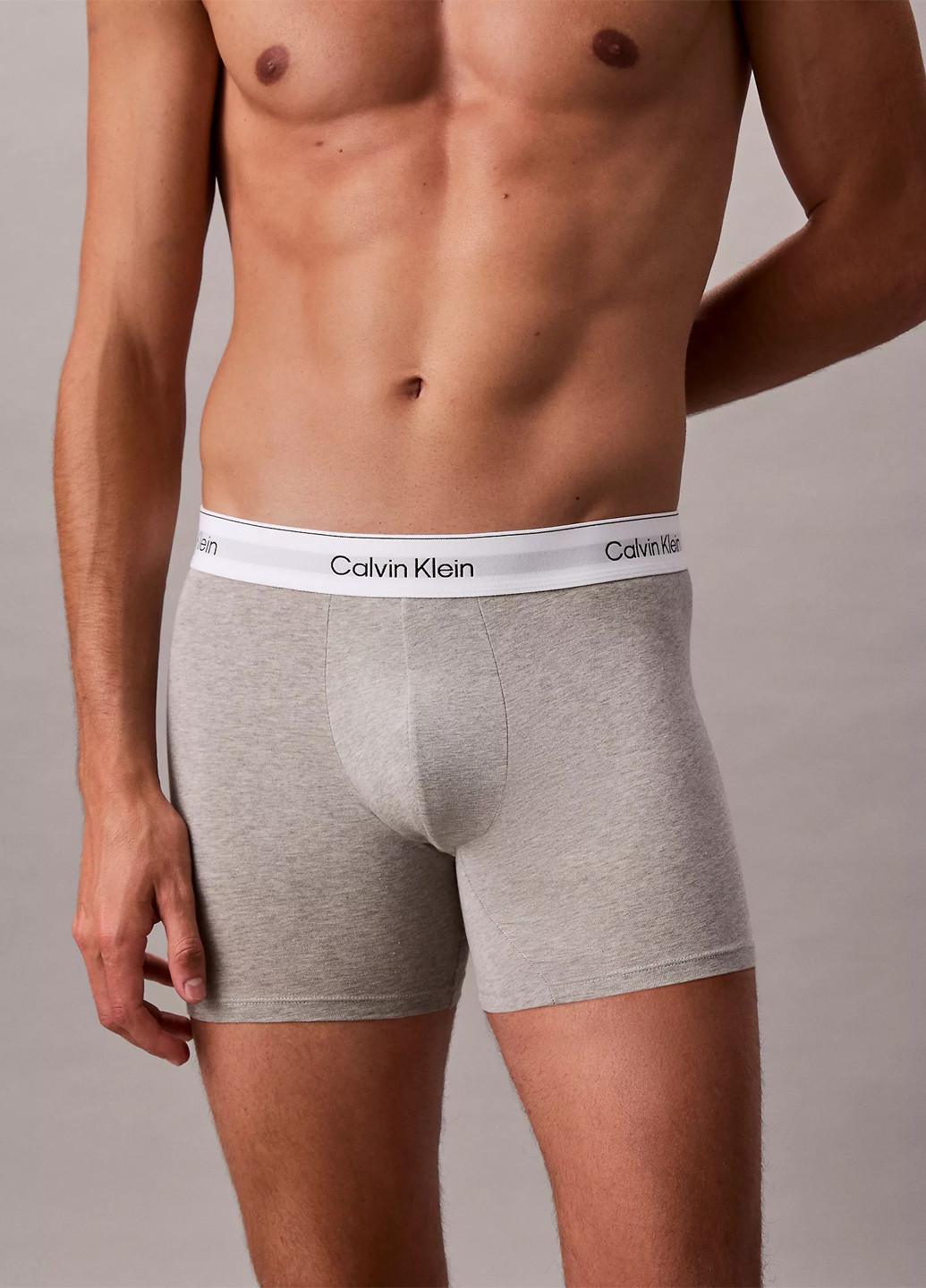 Труси (3 шт.) Calvin Klein (372003740)