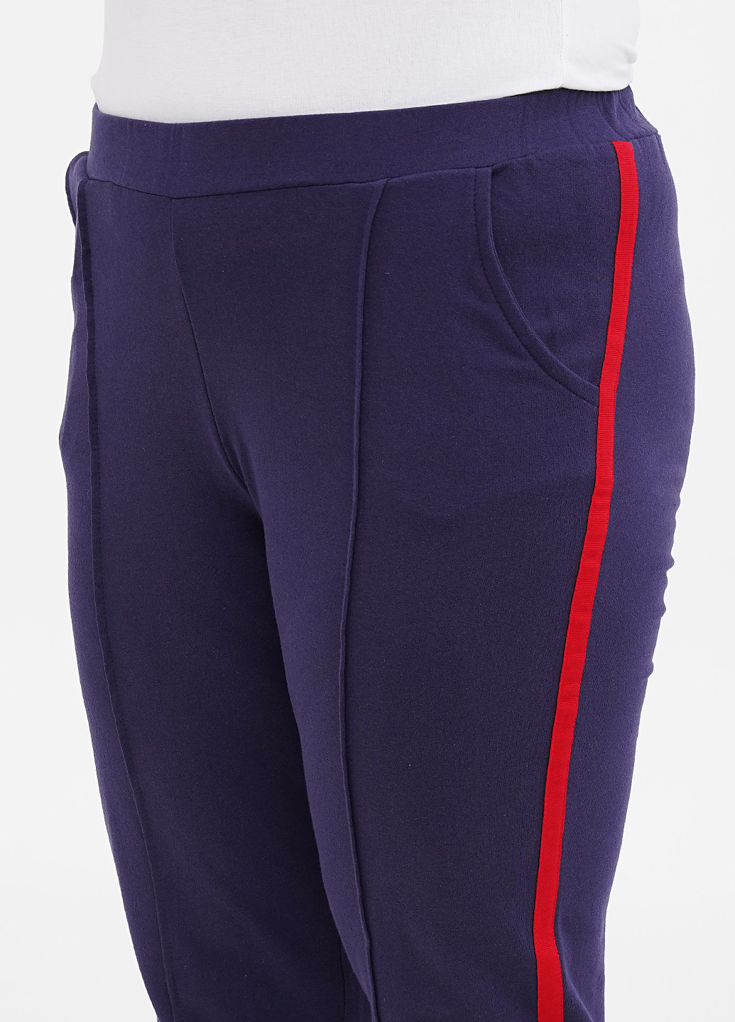 Темно-фиолетовые спортивные демисезонные джоггеры брюки Long Island