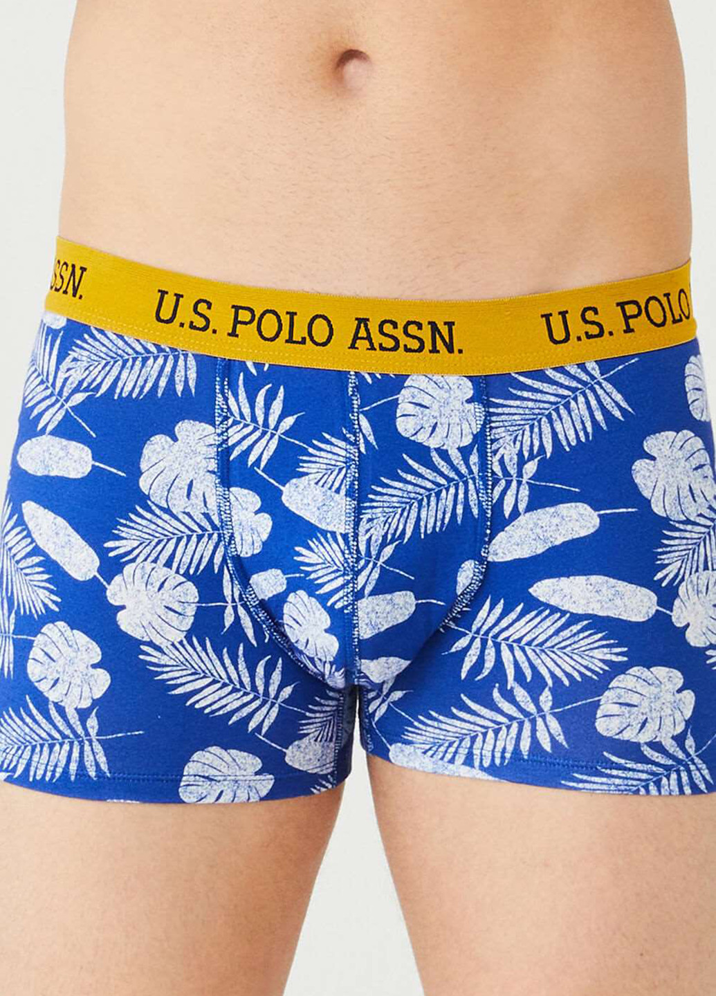 Труси (3 шт.) U.S. Polo Assn. (251115306)