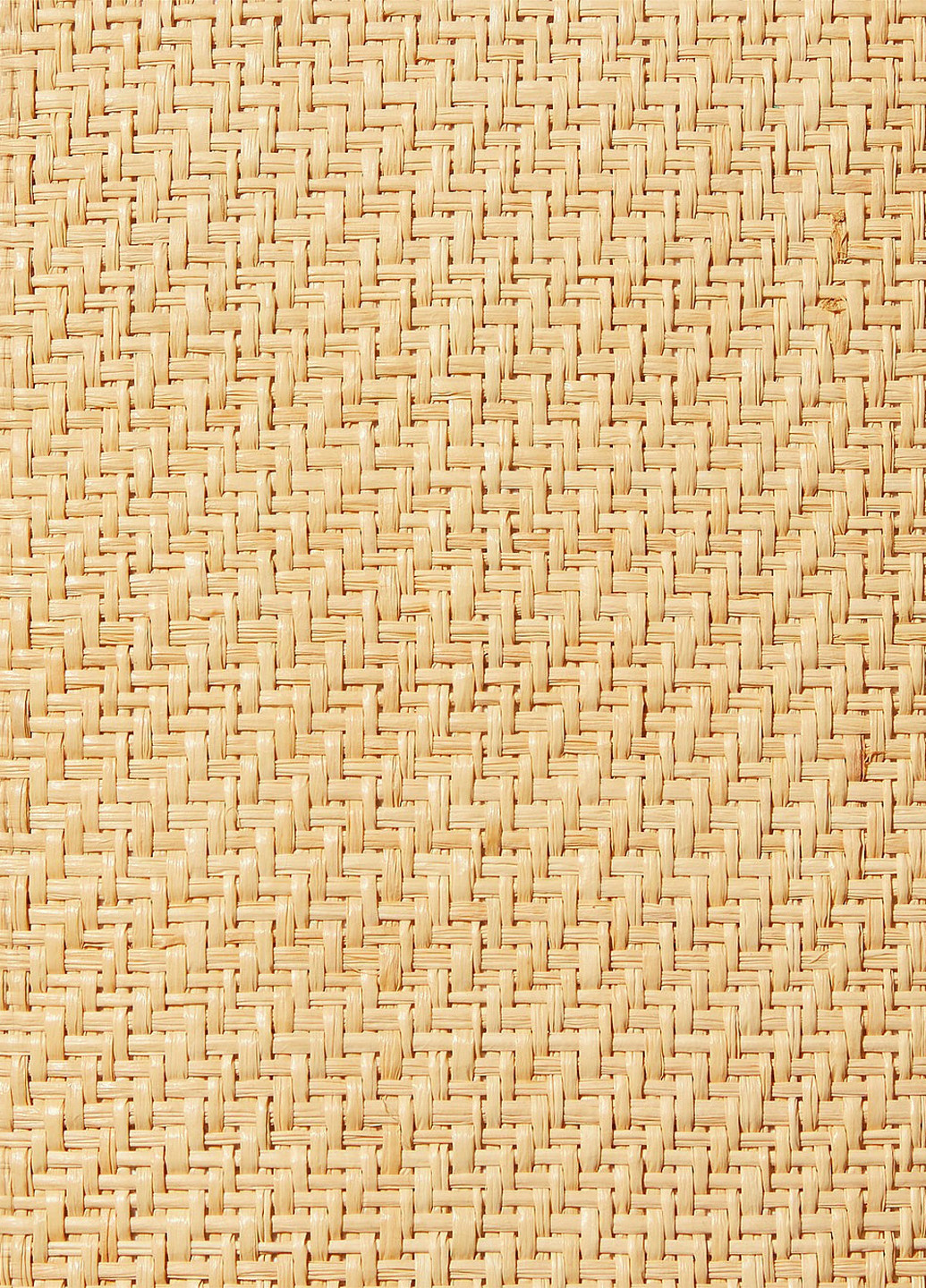 Сумка Victoria's Secret (299533048)