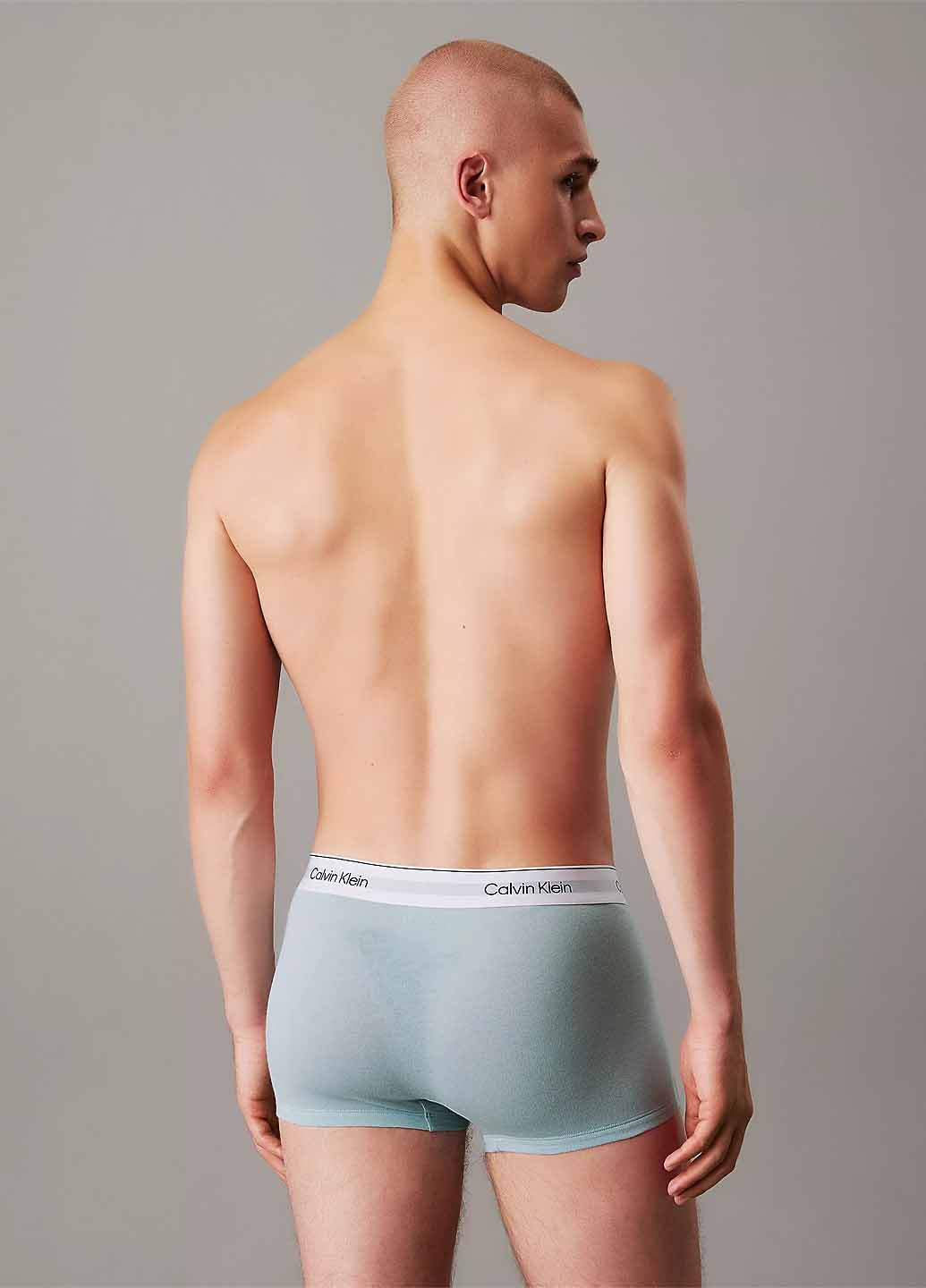 Труси (3 шт.) Calvin Klein (367175384)