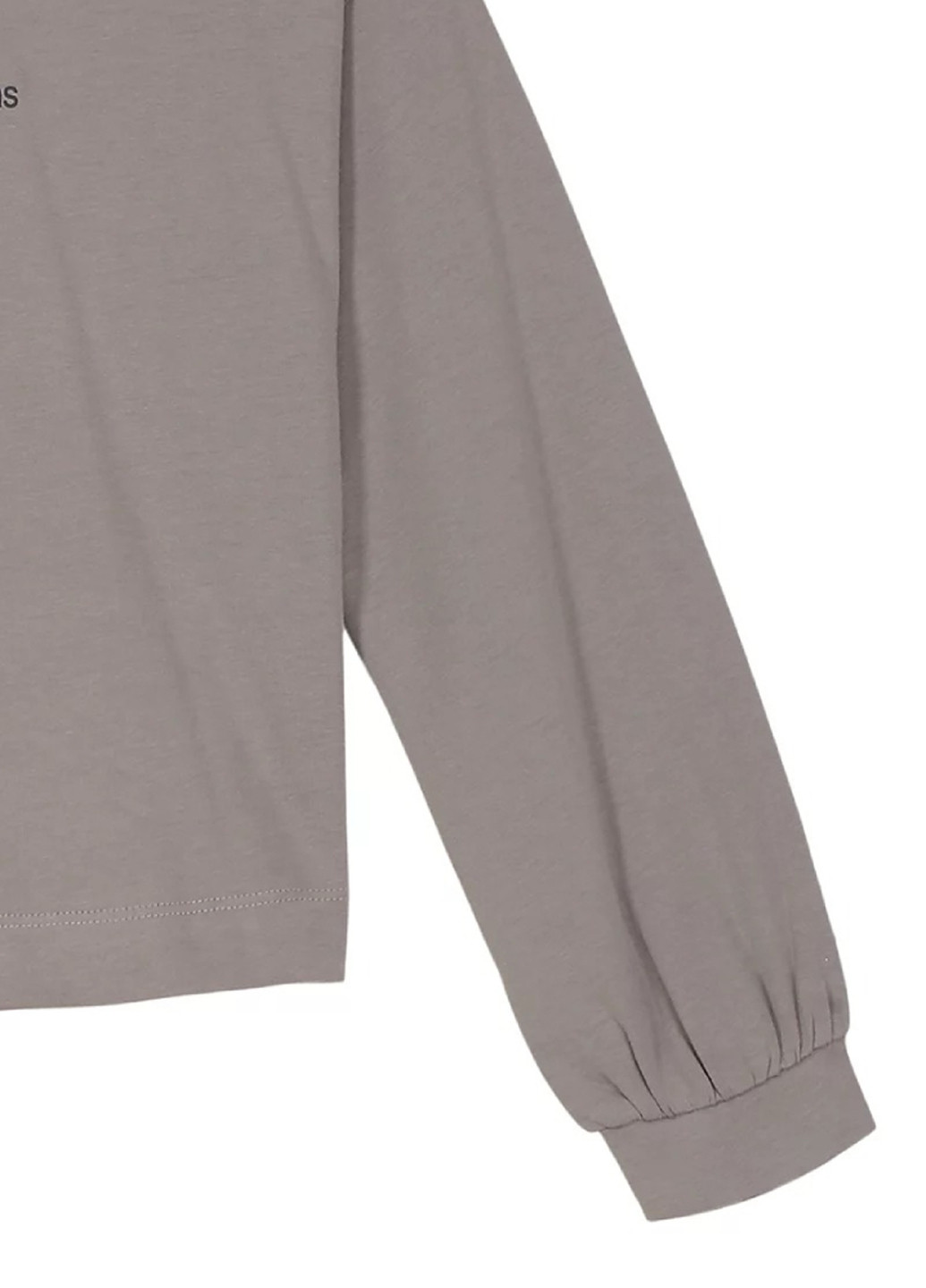 Серый демисезонный кэжуал лонгслив Calvin Klein с логотипом