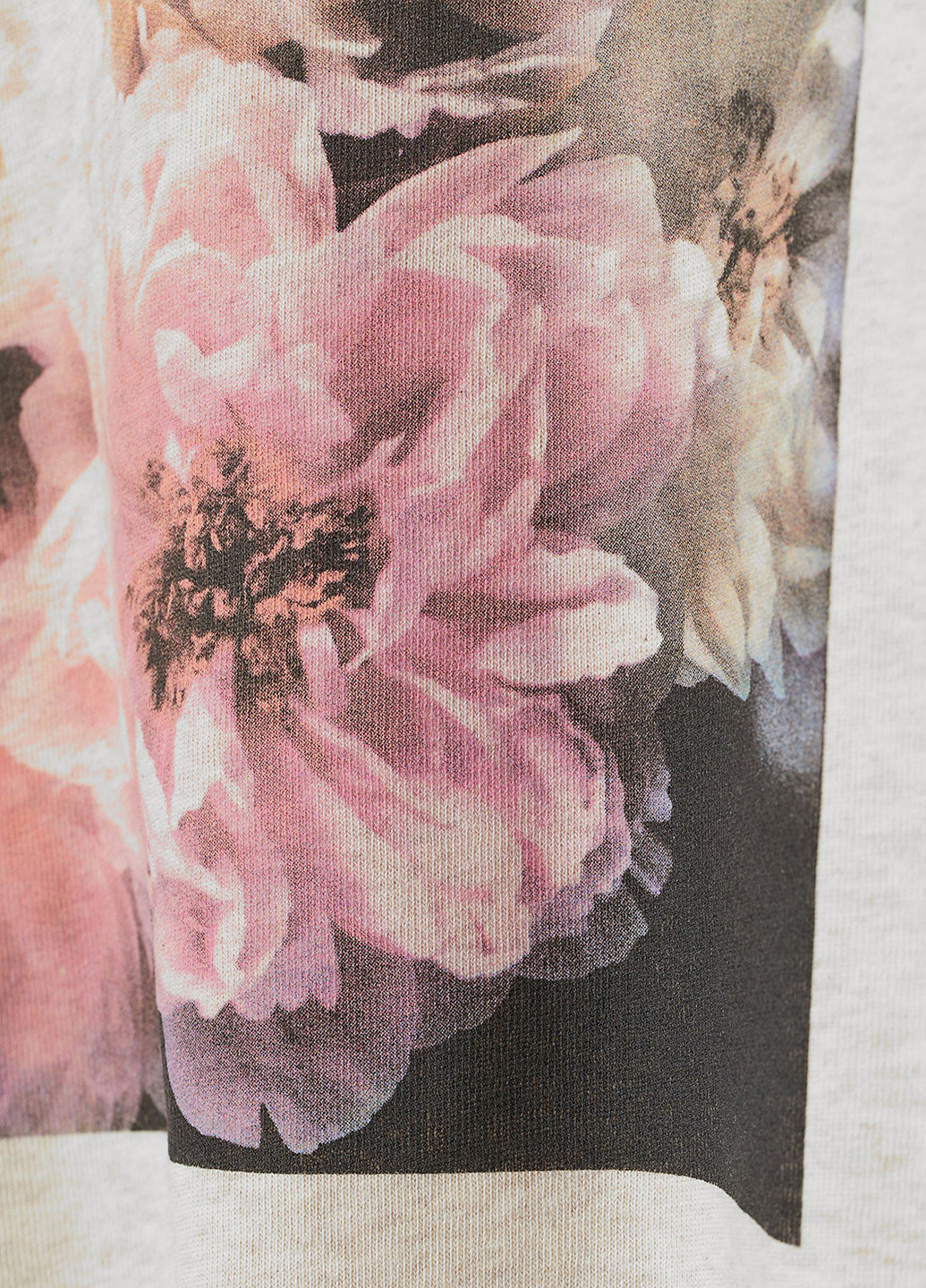 H&M світшот малюнок світло бежевий кежуал бавовна органічна, бавовна