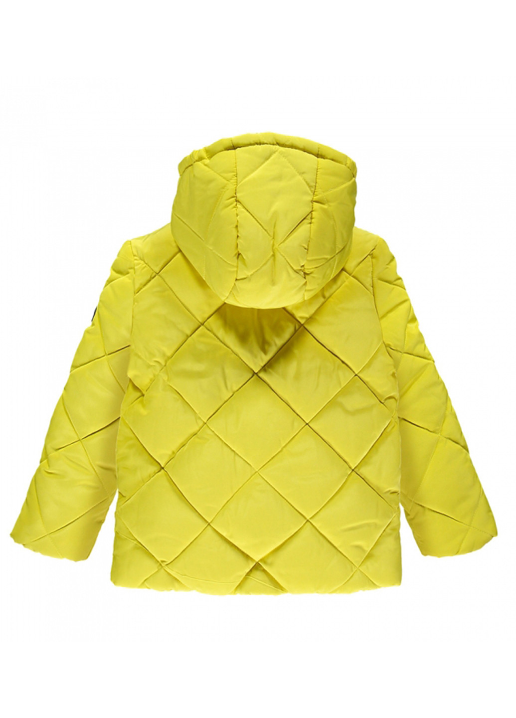 Желтая зимняя куртка Brums