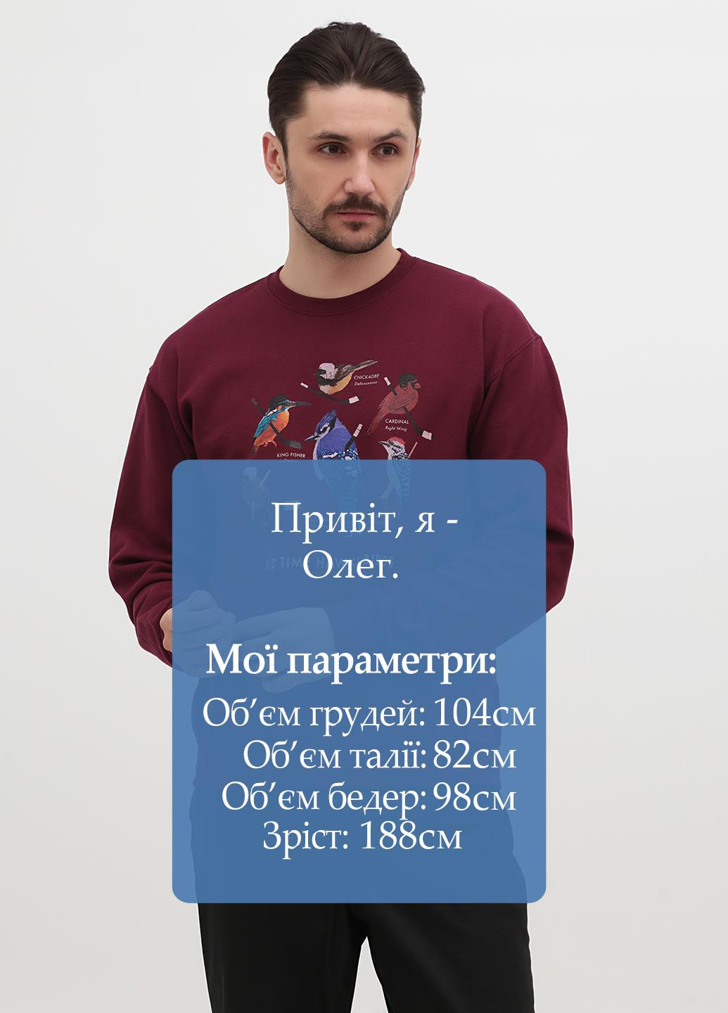 Бордовий світшот Jerzees малюнок без декору (316301986)