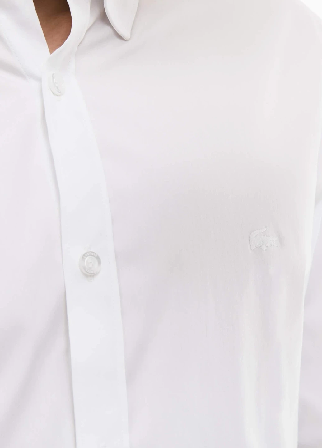 Сорочка Lacoste (254551646)