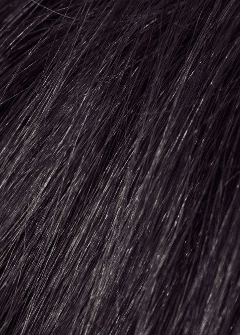 Шампунь камуфлюючий 2N (чорний) для голови / бороди / вусів (фарба 30 мл + актив 45 мл) Beardburys (243765934)