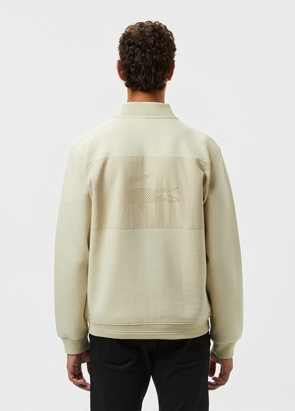 Толстовка Lacoste (363619765)