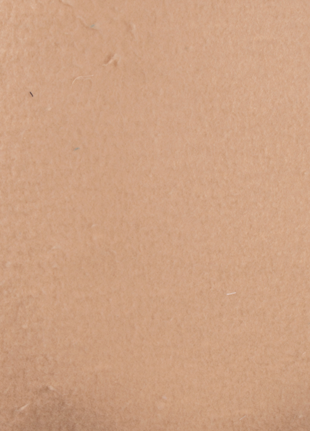 Худи мужское из футера с карманом кенгуру Дукат H-33-1. Размер L. Цвет: Бежевый Yura (199428790)