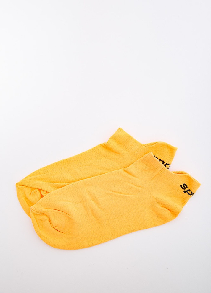 Шкарпетки жіночі 151R013 Ager (216040055)