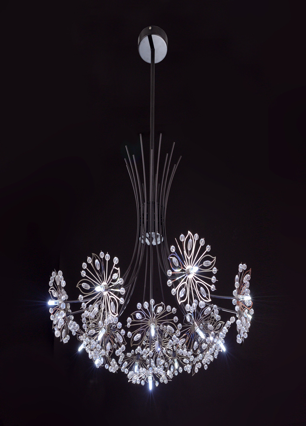 Потолочная люстра BR-01 641S/19 G4 BK Brille (251891791)