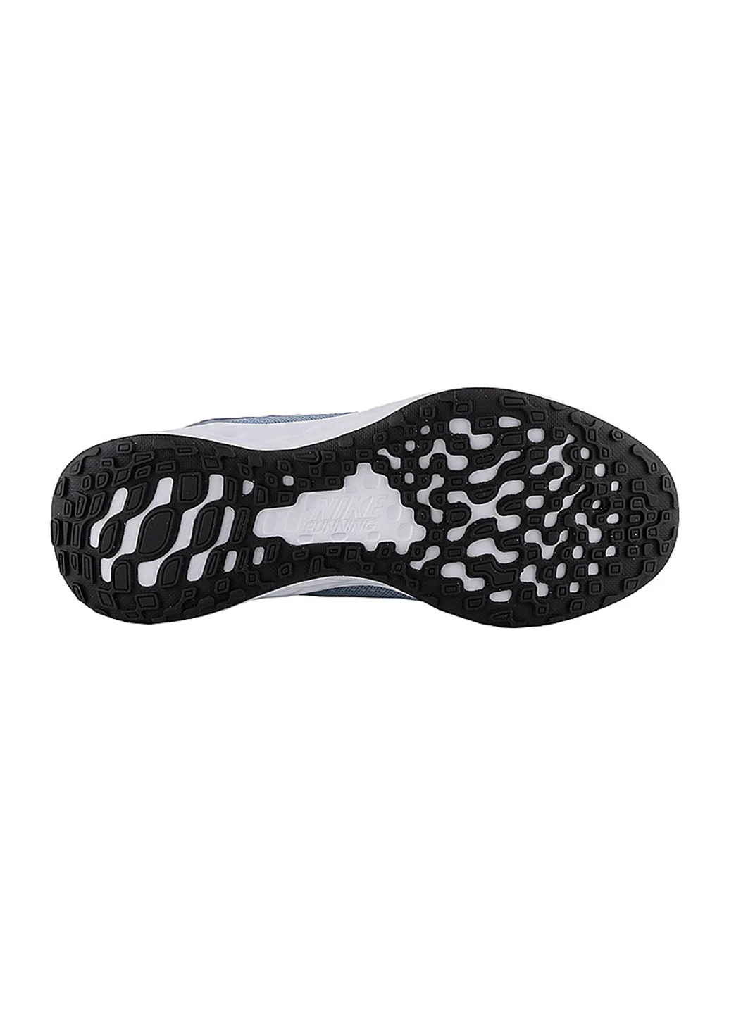 Кросівки W REVOLUTION 6 FLYEASE NN WD Nike блакитні демісезони (254669690)