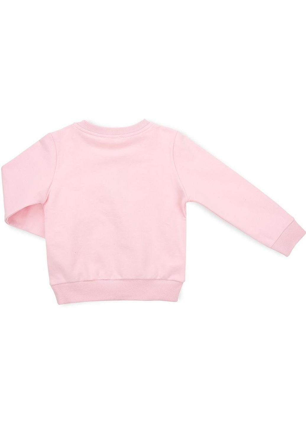 Сірий демісезонний костюм десткий з кроликом (11406-80g-pink) Breeze