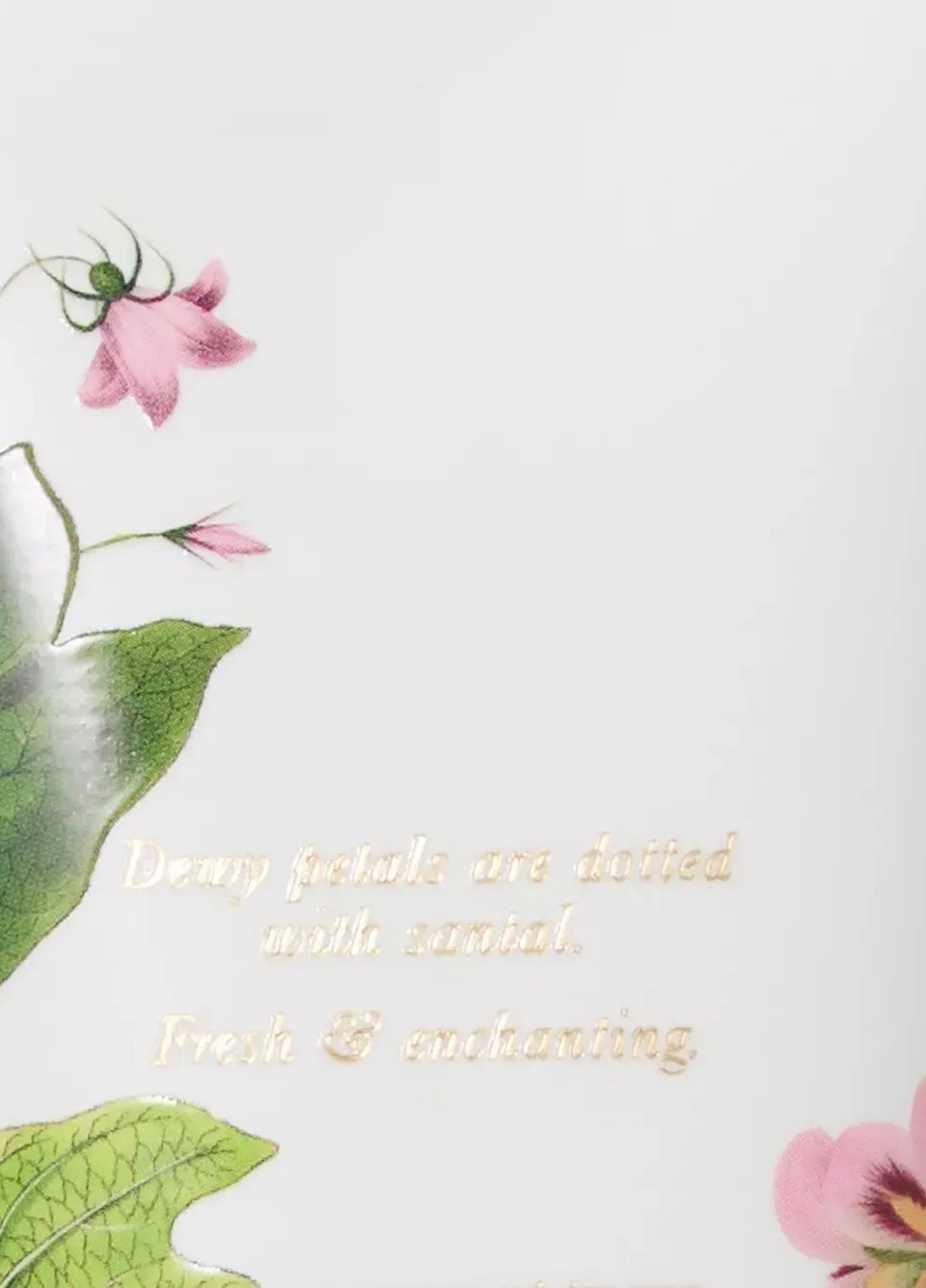 Набір для тіла (лосьйон, міст) Victoria's Secret (325922940)