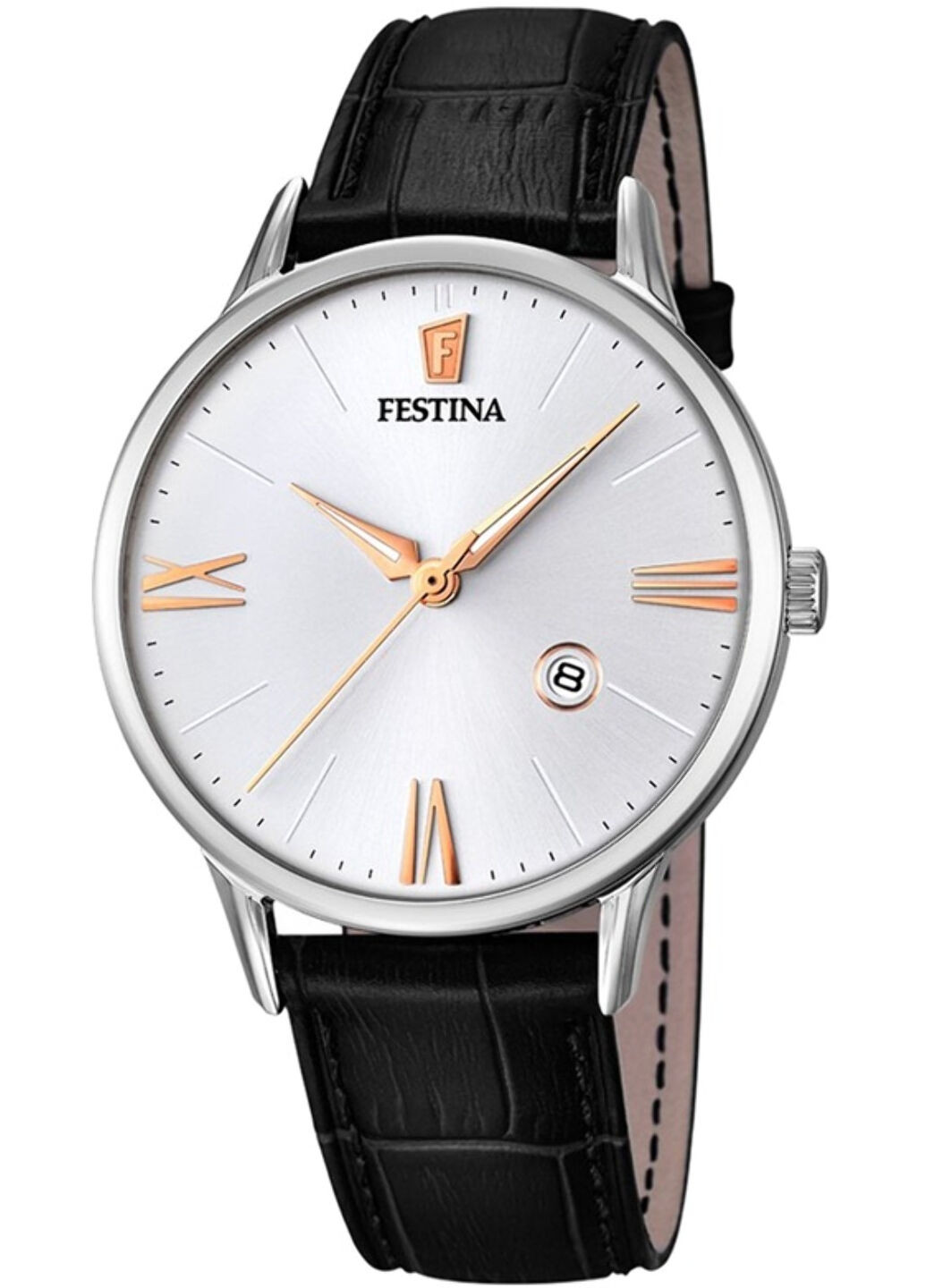 Часы наручные Festina f16824/2 (250143429)