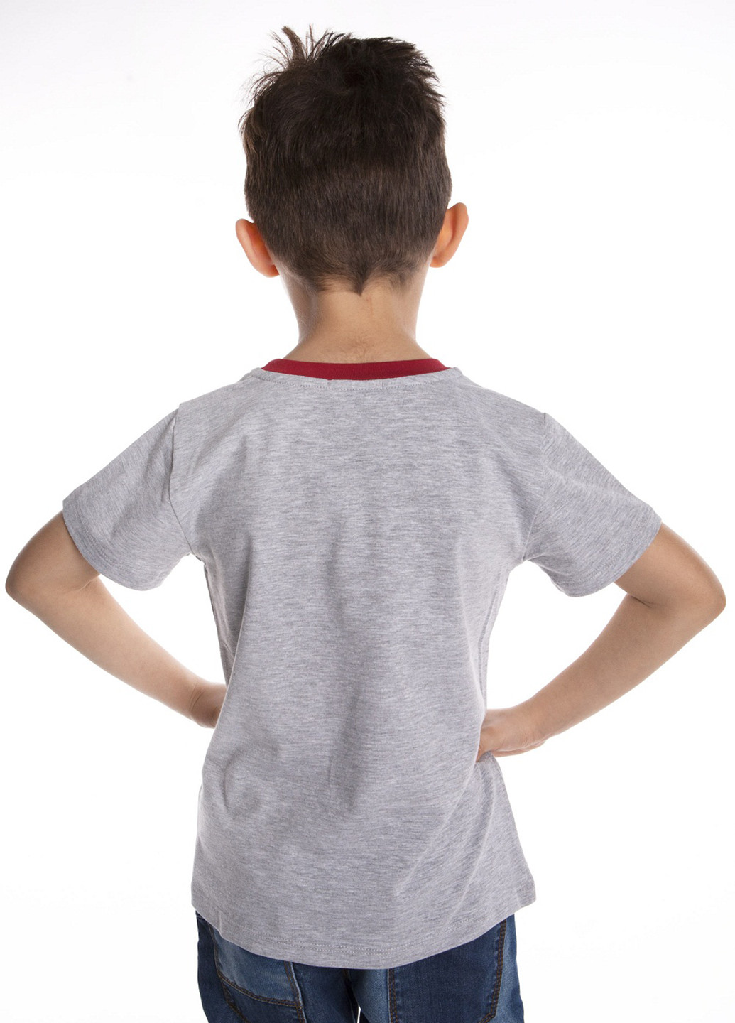Сіра літня футболка з коротким рукавом Wojcik
