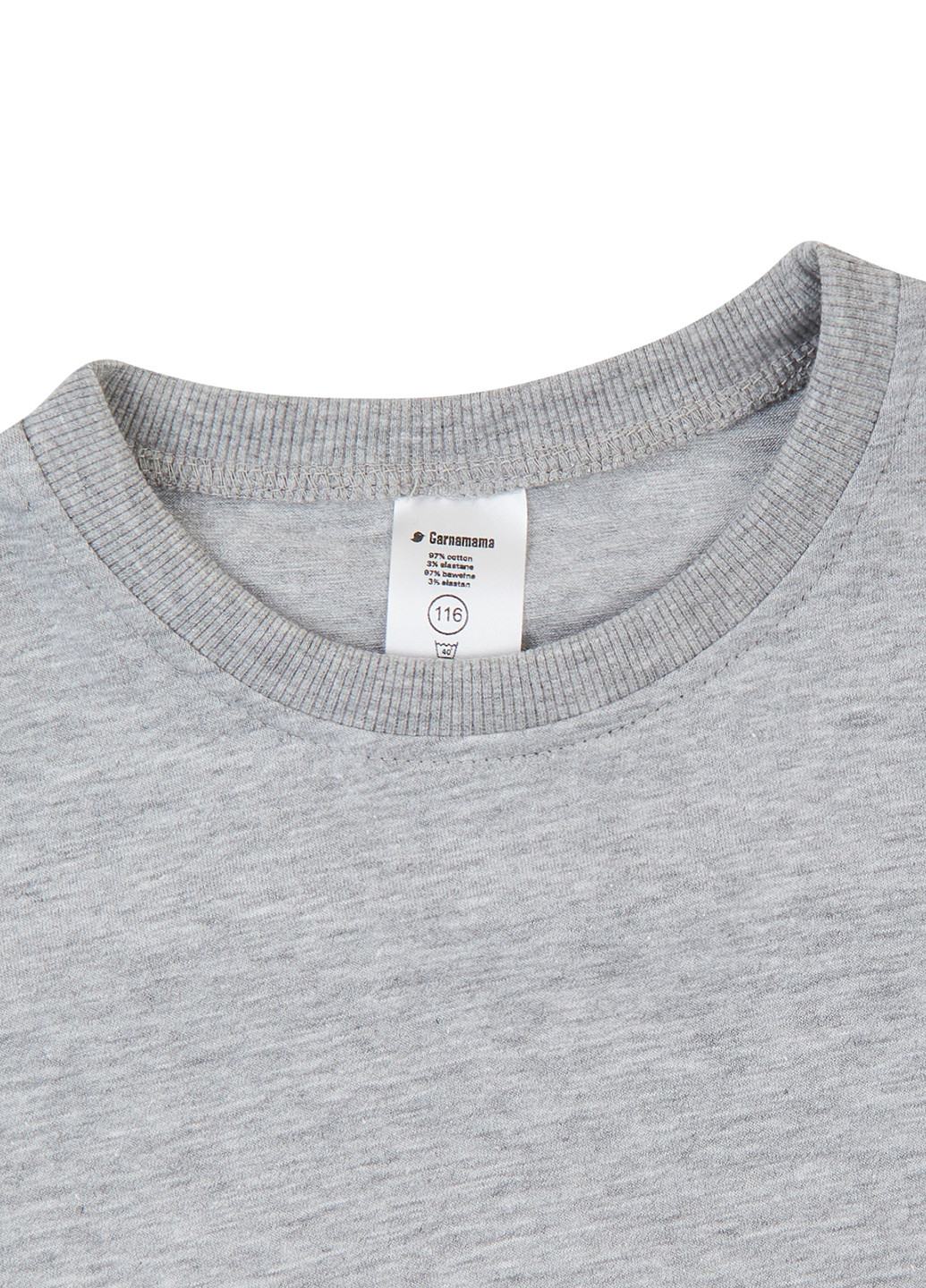 Сіра демісезонна футболка Garnamama