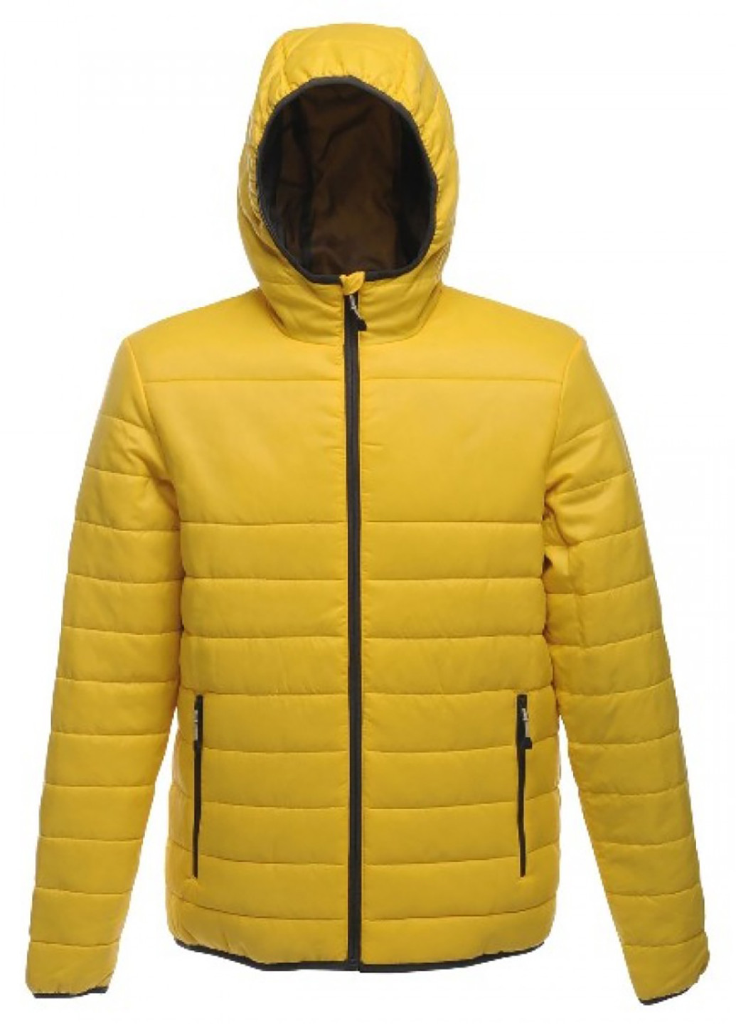 Желтая демисезонная куртка Regatta Standout ACADIA