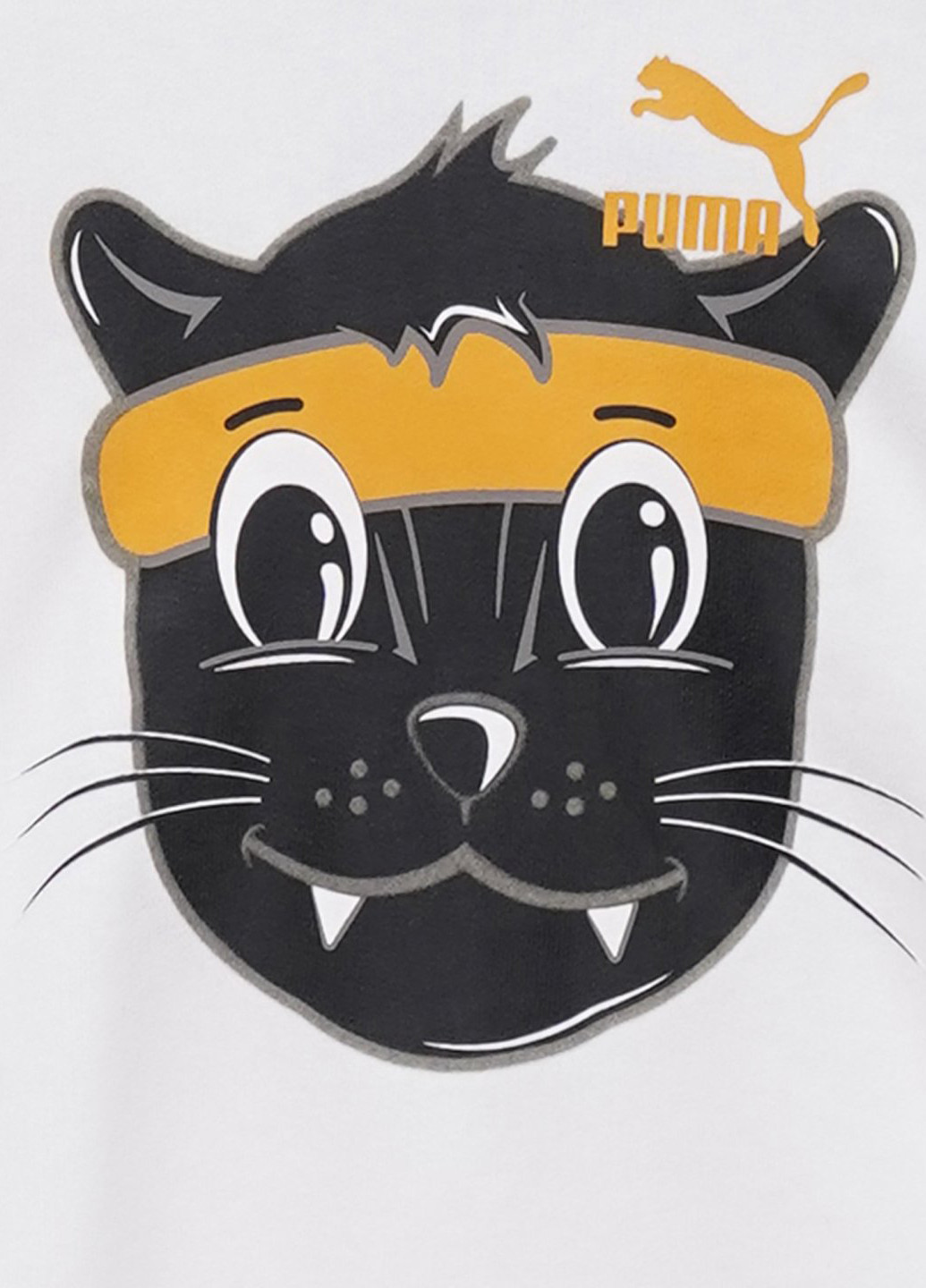 Худі Puma lil hoodie tr (246018903)