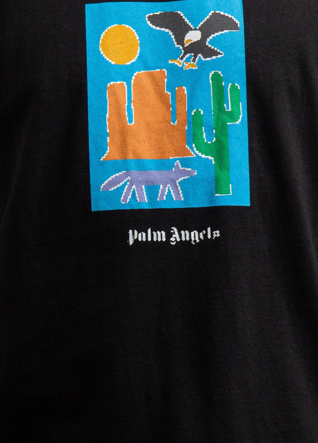 Черная черная футболка с принтом Palm Angels
