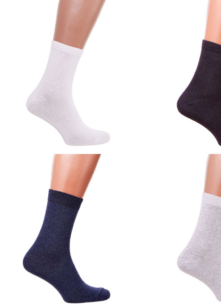 Набір чоловічих шкарпеток 10пар, класичні асорті (4 кольори) 43-45 Rix (229058799)