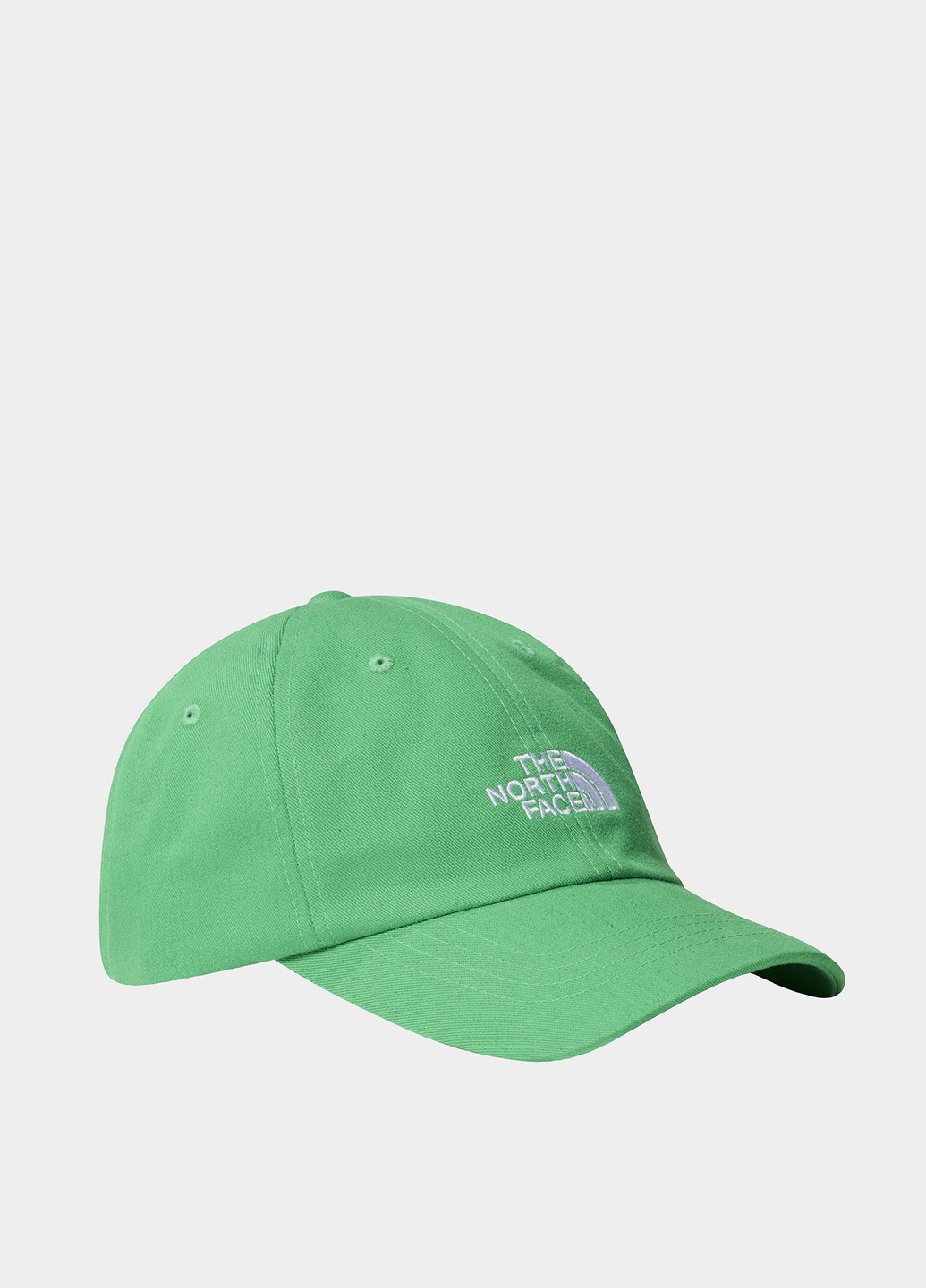 Кепка The North Face (330225786)