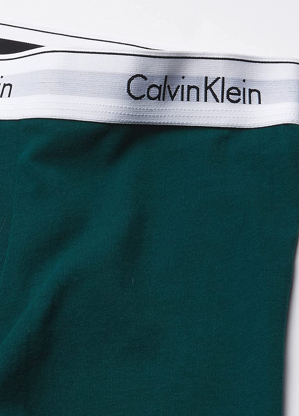 Трусы (3 шт.) Calvin Klein (256240655)