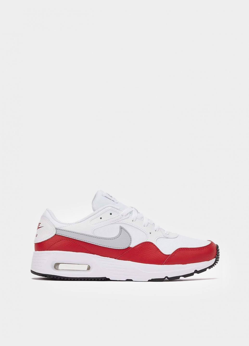 Комбіновані Осінні кросівки cw4555-107 Nike Air Max SC