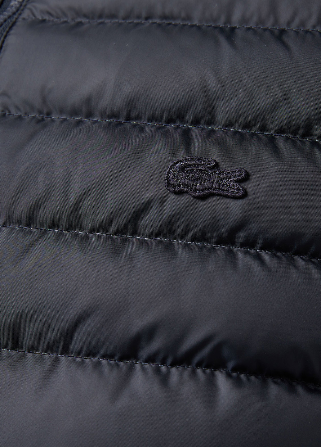 Темно-синий демисезонный Пуховик Lacoste