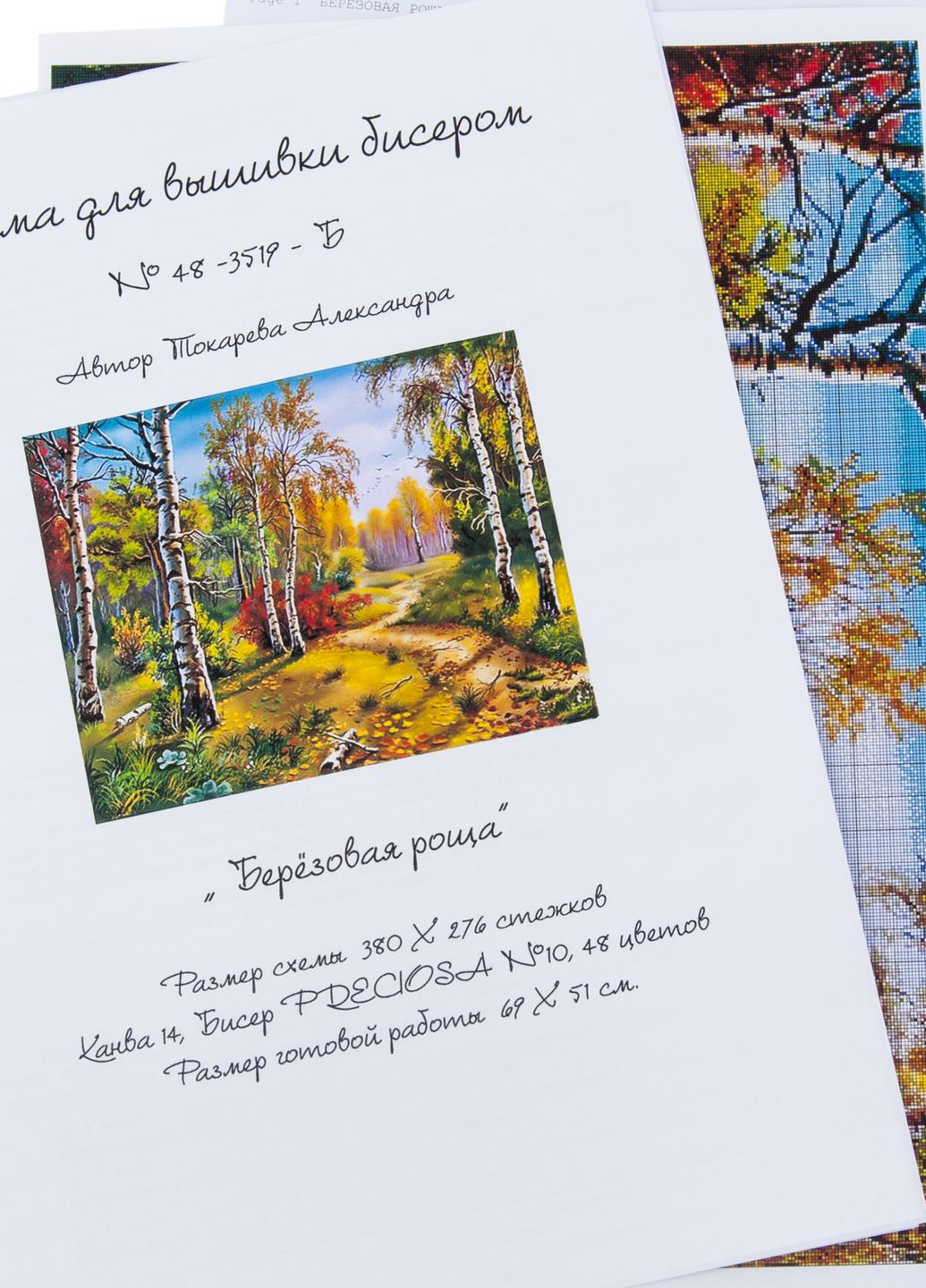 Набор для вышивания бисером Осенний лес 51х61 см Александра Токарева (252253494)
