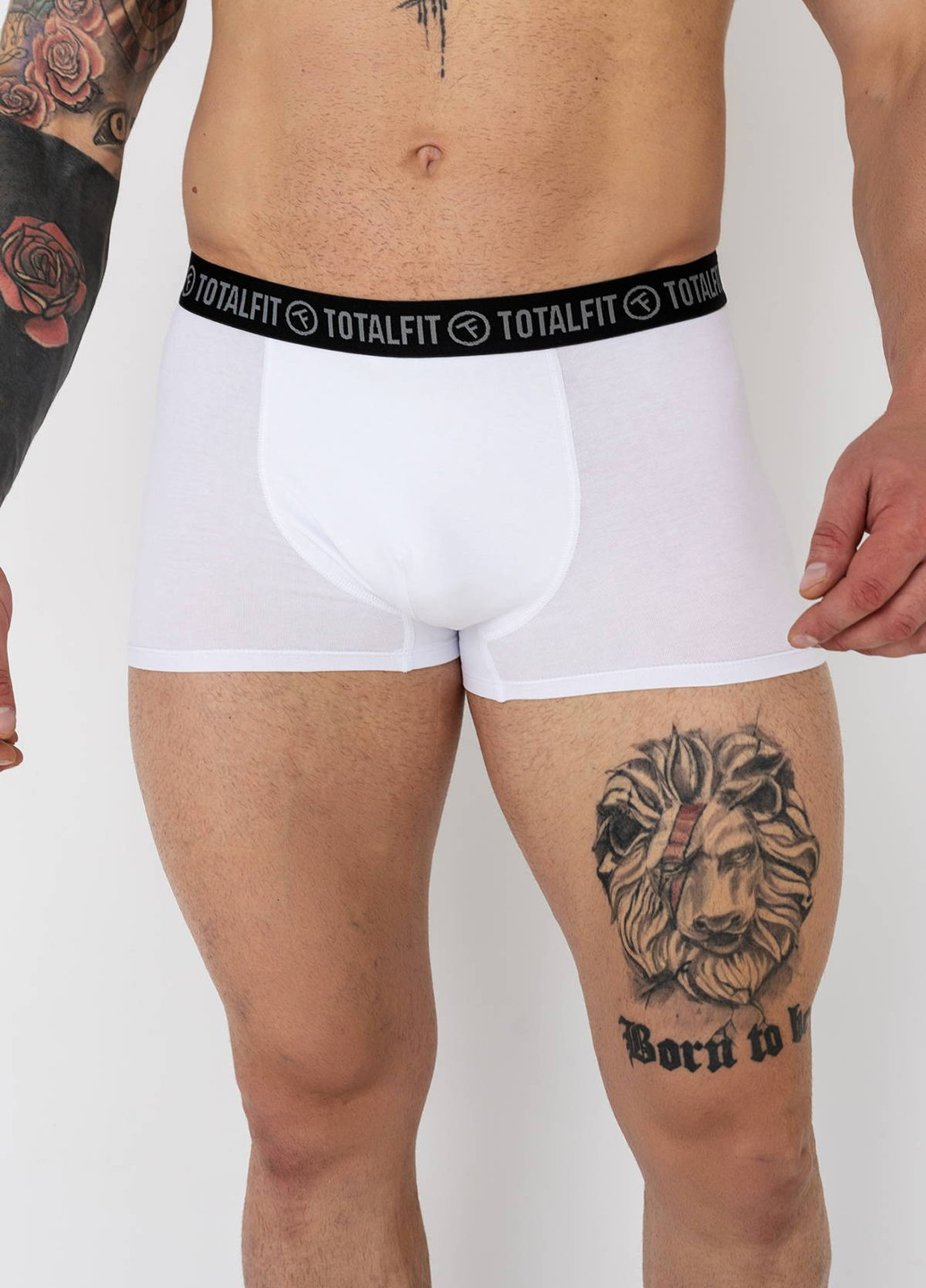 Трусы (5 шт.) TOTALFIT (341676043)