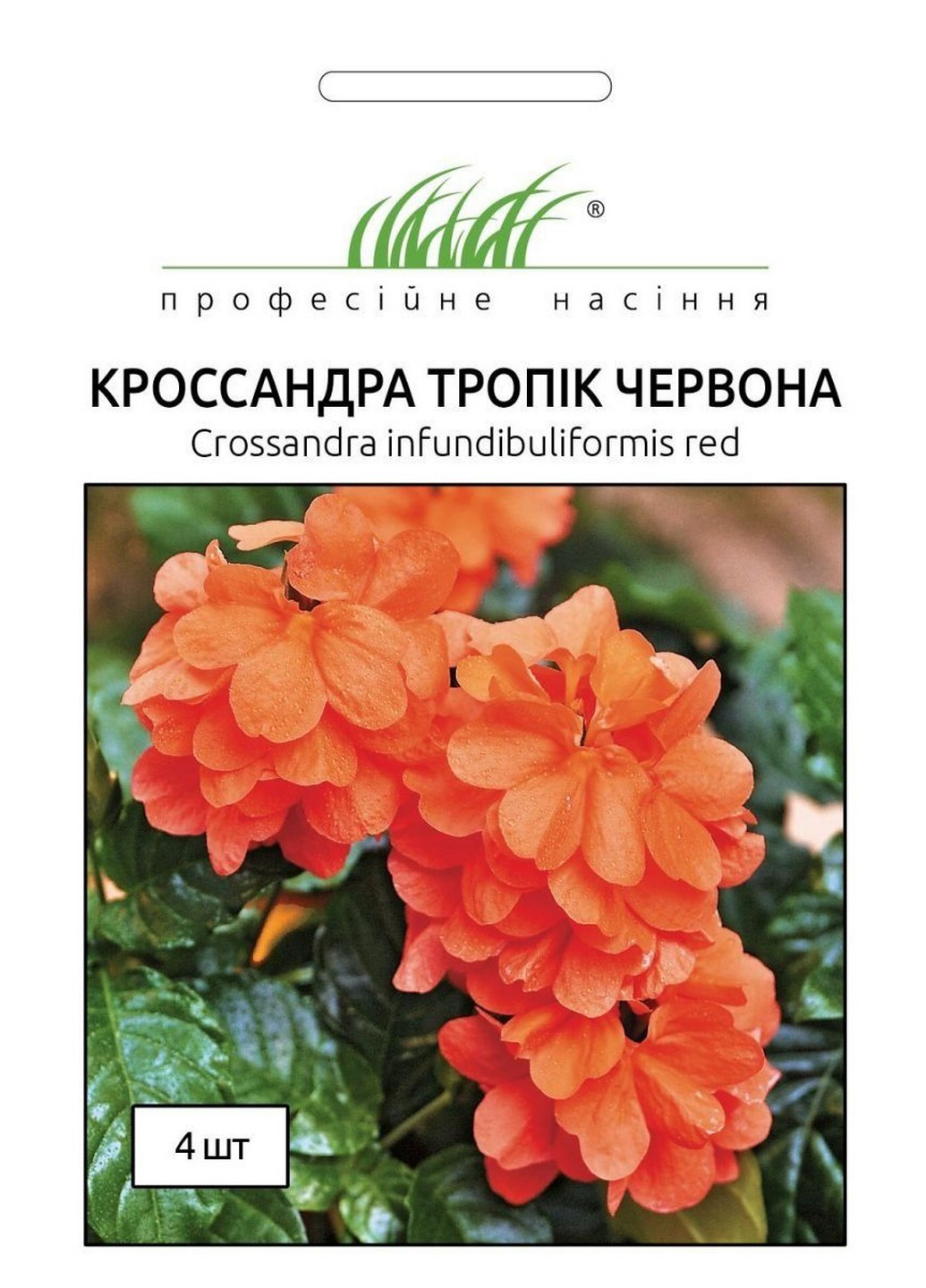 Насіння Кросандра Тропік червона 4 шт Професійне насіння (215963587)