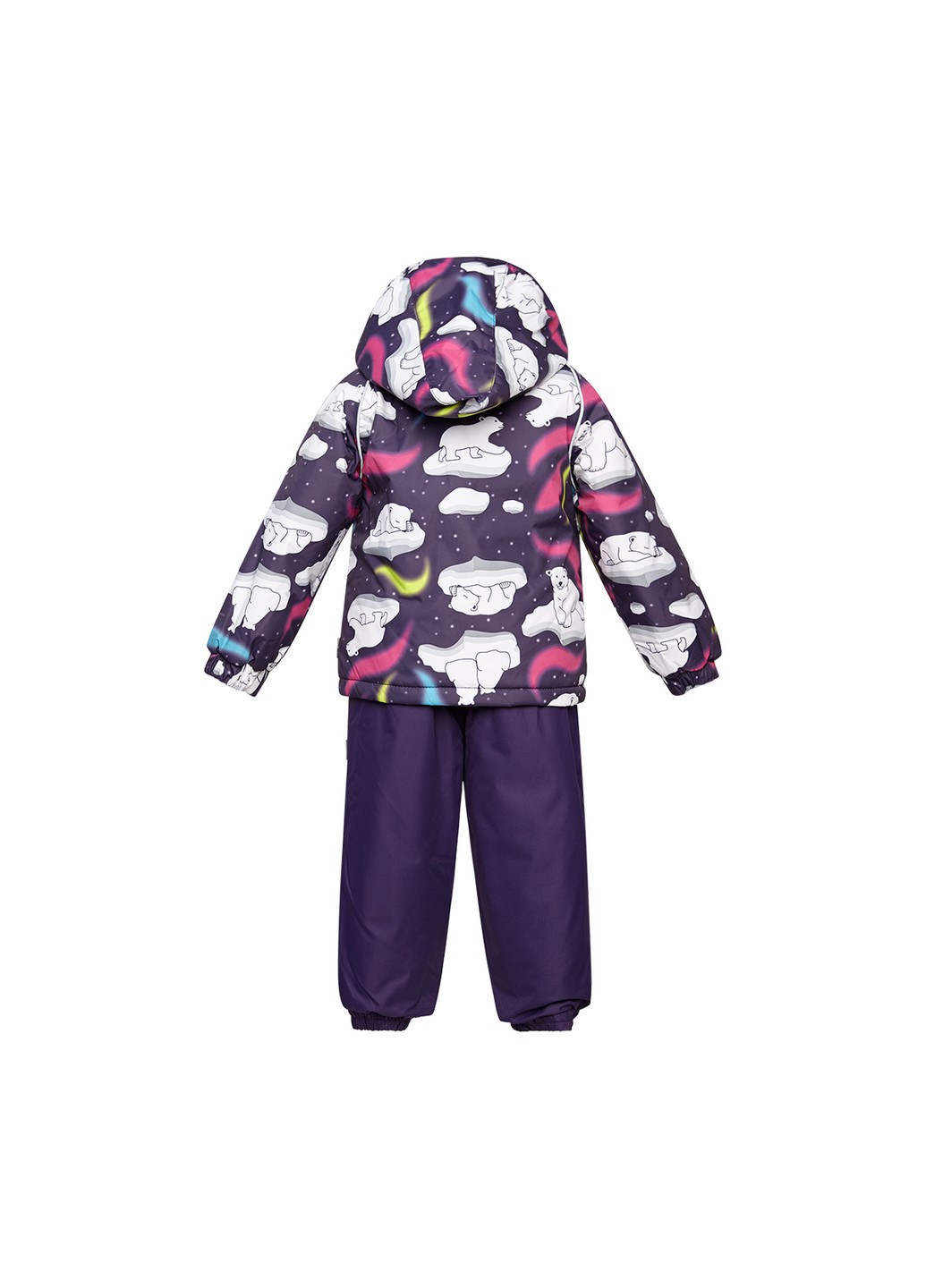 Фиолетовый зимний комплект демисезонный (куртка + полукомбинезон) avery 1 Huppa