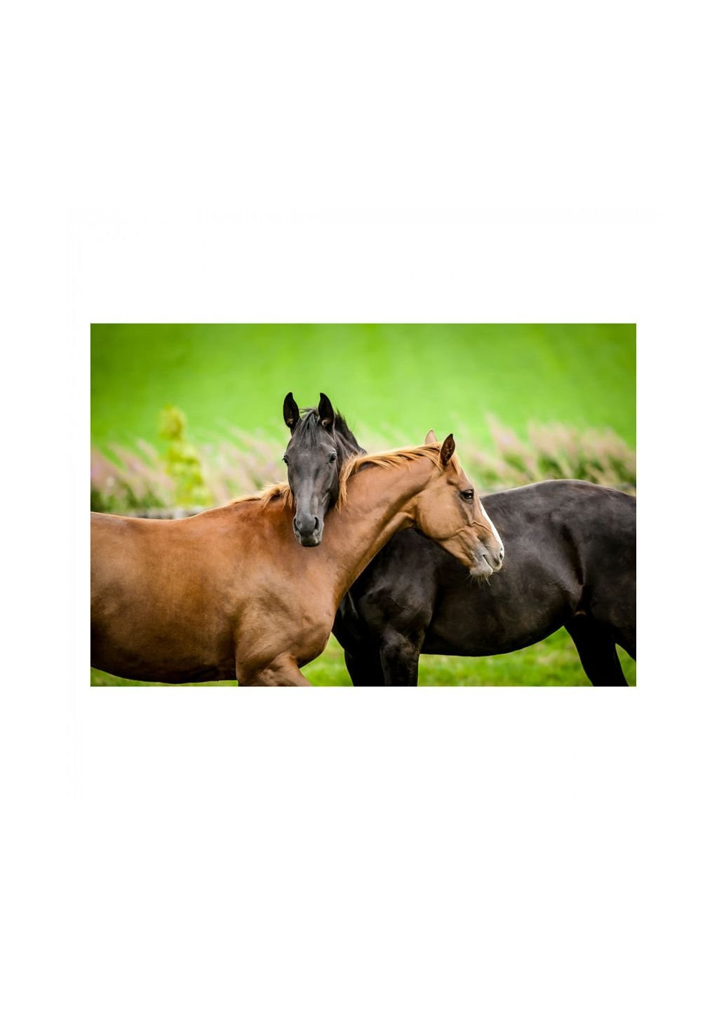 Пазл Лошади 200 элементов (6336982) Educa (252405719)