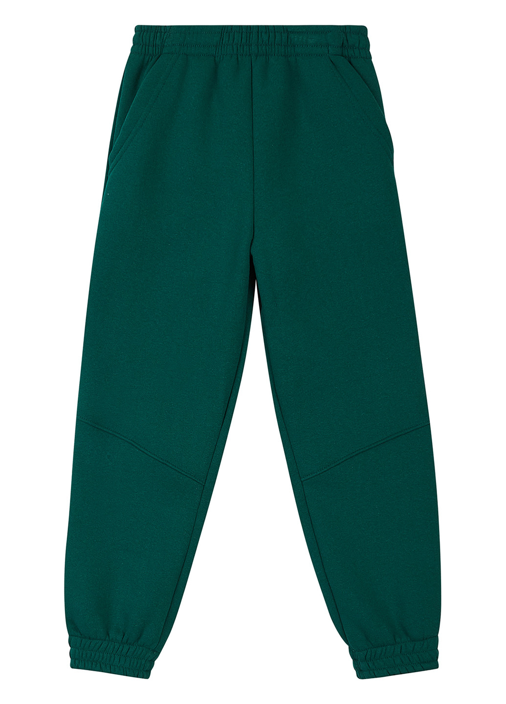 Зеленые спортивные демисезонные джоггеры брюки dexter's