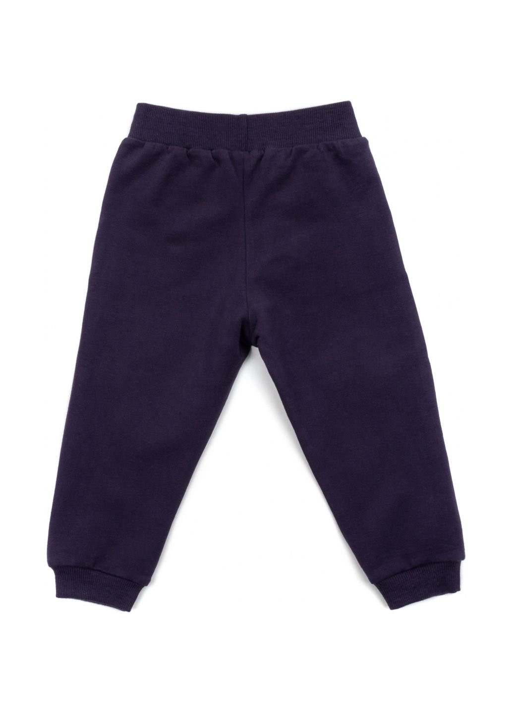 Фіолетовий демісезонний набір дитячого одягу з ведмедиками (16102-98g-purple) Breeze