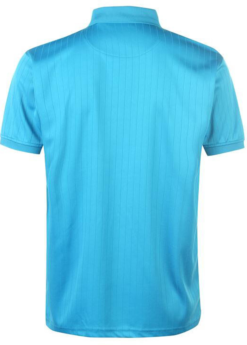 Голубой футболка-поло для мужчин Pierre Cardin с логотипом