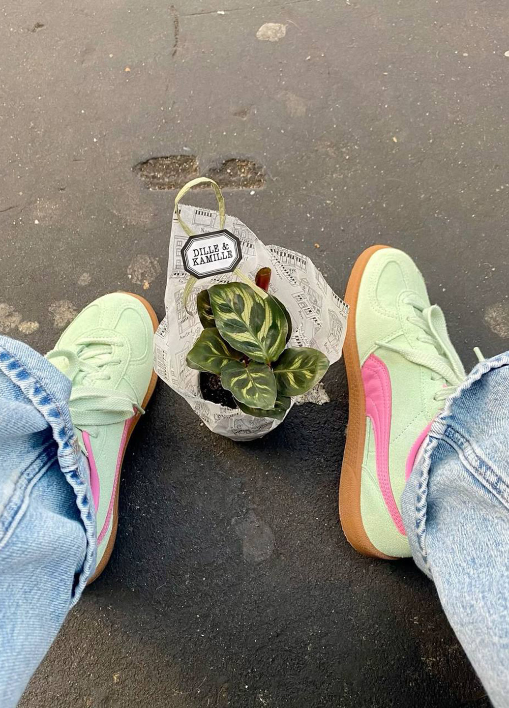 Салатовые кеды No Brand