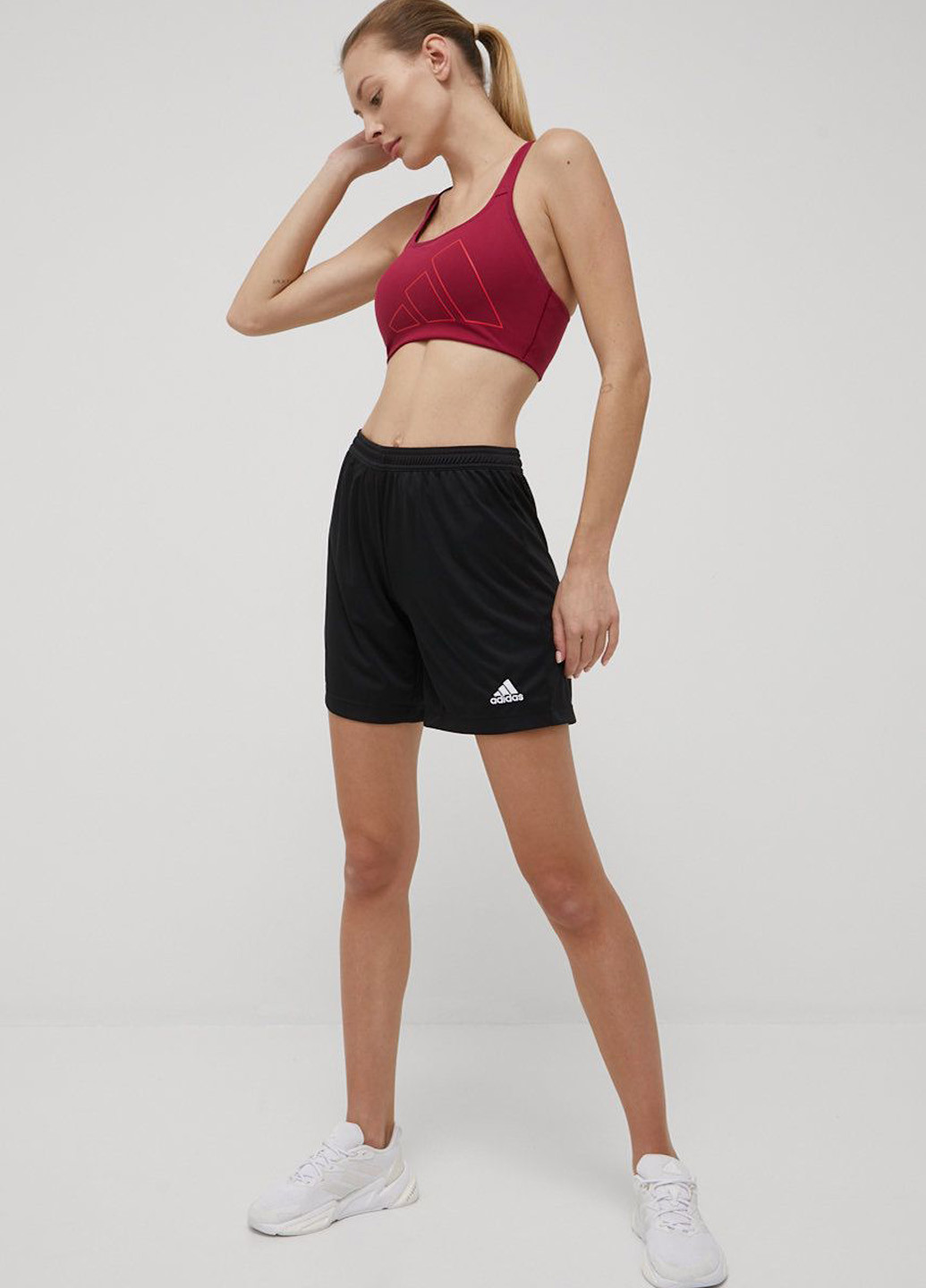 Шорти adidas (329150728)