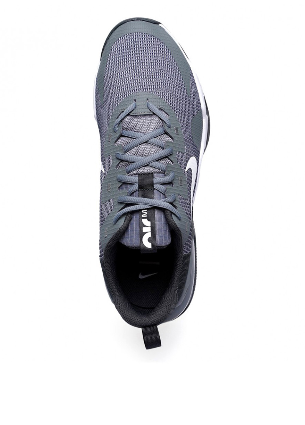 Сірі всесезон кросівки Nike DM0829-003