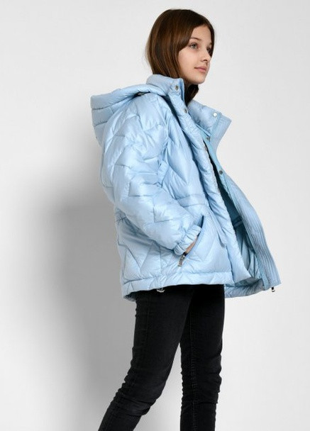Блакитна демісезонна куртка демісезонна X-Woyz DT-8343-11