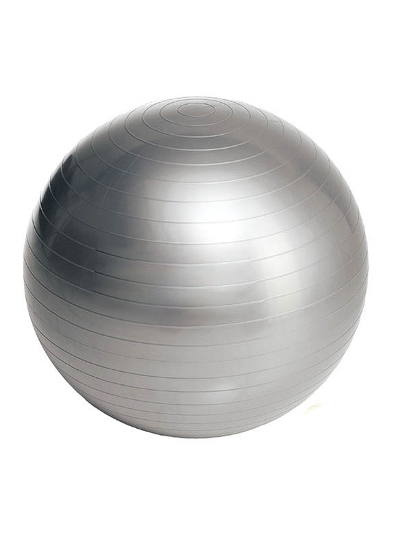 Мяч для фитнеса 65 см серый (фитбол, гимнастический мяч для беременных) EF-65-Gy EasyFit (243205404)