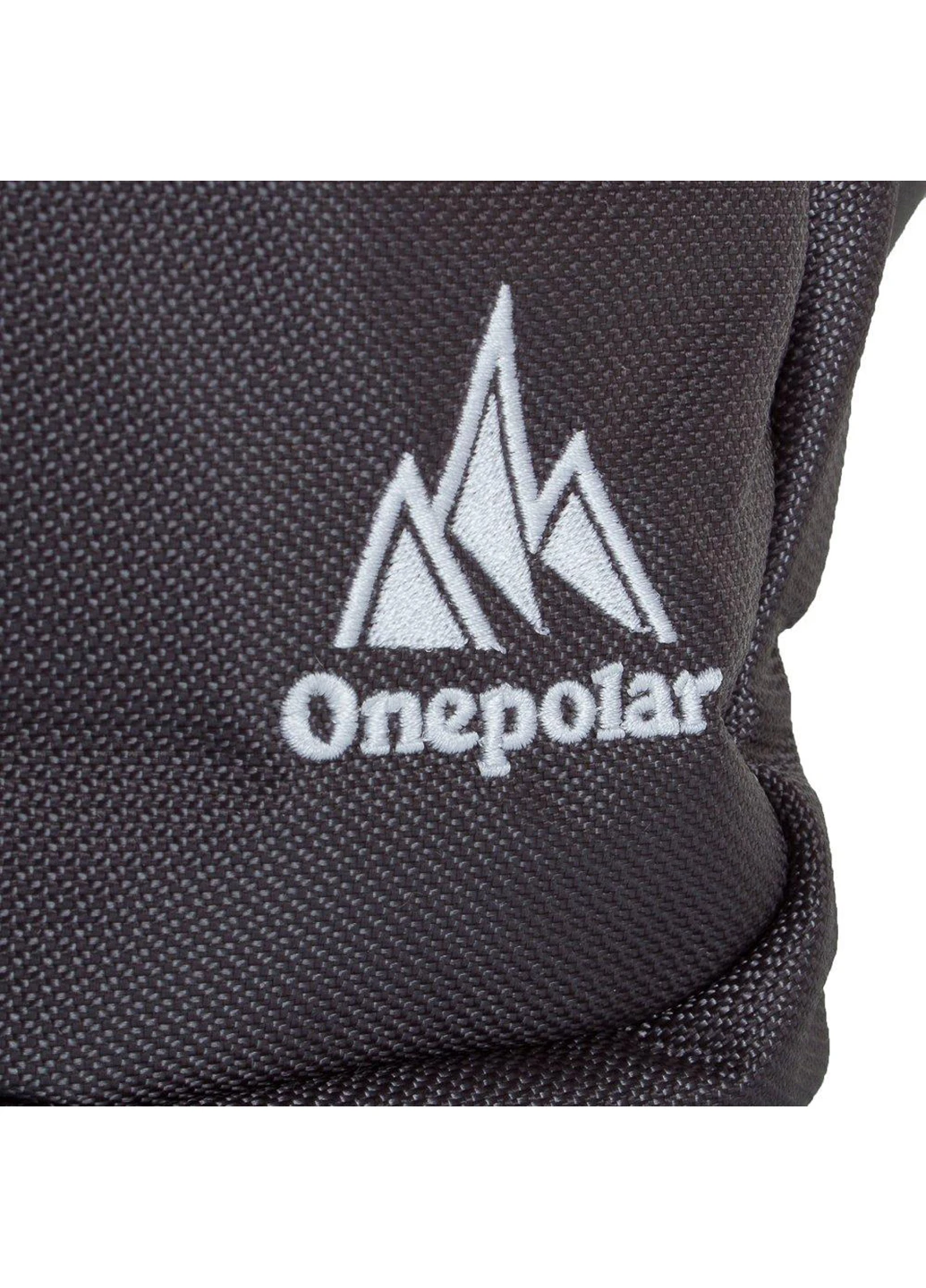 Мусжкая сумка спортивная 18х20х8 см Onepolar (253031971)