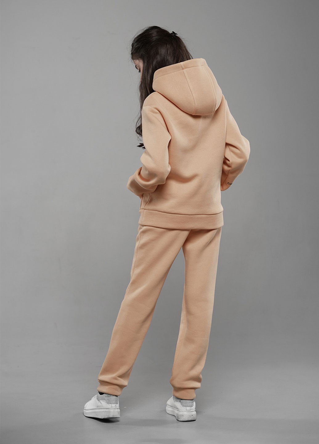 Зимний спортивный костюм трехнитка с начесом Tiaren Арис (249973636)