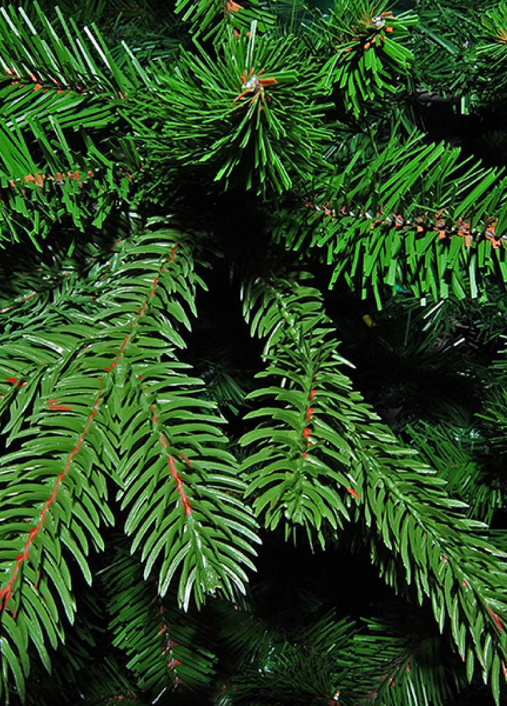 Искусственная елка Deluxe Nottingham зеленая 2,15 м (8711473288025) Triumph Tree (203983774)