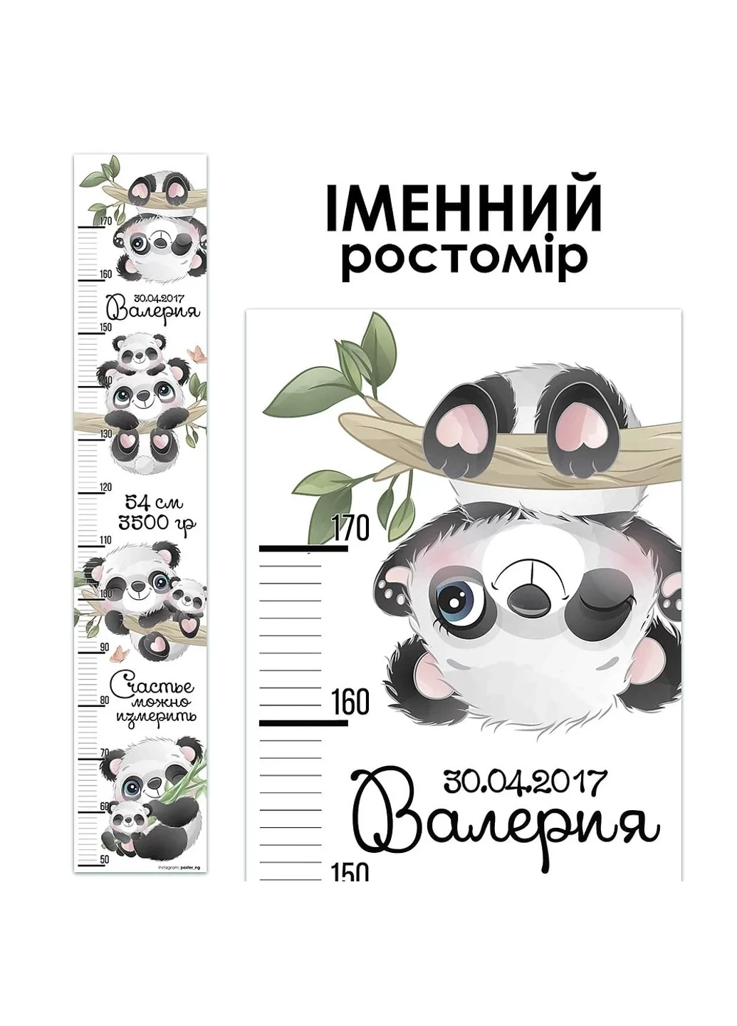 Ростомір іменний Панди 1097 HeyBaby (254326245)