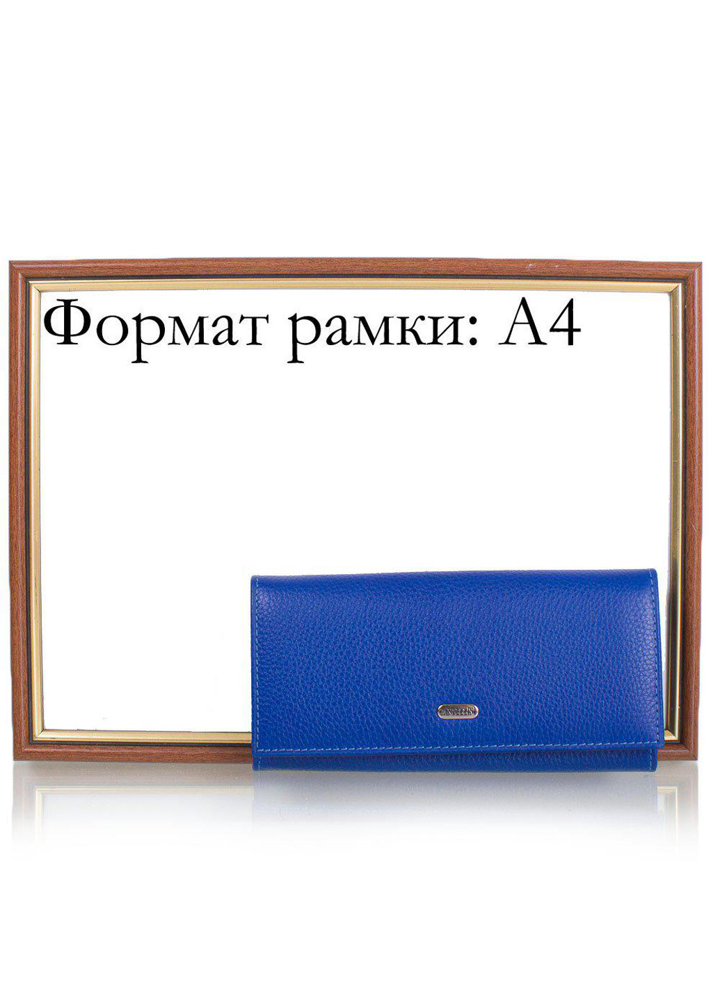 Женский кожаный кошелек 18,5х9,5х3 см Canpellini (195547293)
